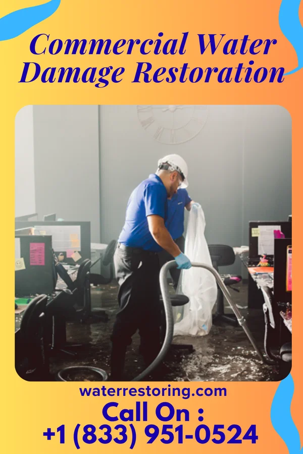 Commercial Water Damage Restoration in Anthony, NM